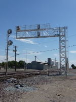 Chilling In The Afternoon Sun
